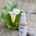 peptide anti-aging nan serum